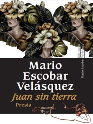 cover image of Juan sin tierra